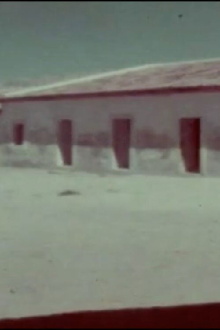 A Flor do Lácio é vadia Trailer