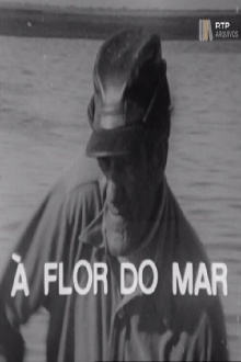 À Flor do Mar Trailer