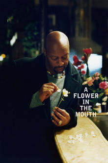 A Flower in the Mouth Trailer