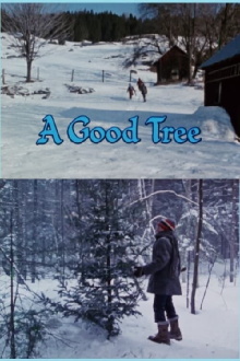 A Good Tree Trailer