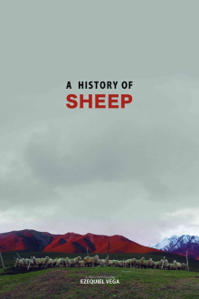 A History Of Sheep Trailer