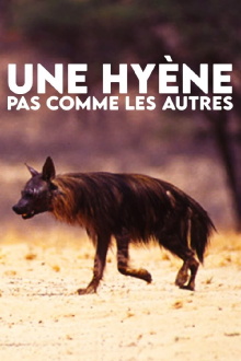 A Hyena like No Other Trailer