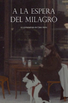 A la espera del milagro Trailer