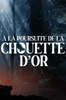 A la poursuite de la chouette d'or Trailer
