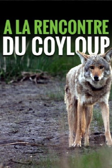 A la rencontre du coyloup Trailer
