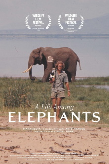 A Life Among Elephants Trailer