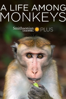 A Life Among Monkeys Trailer