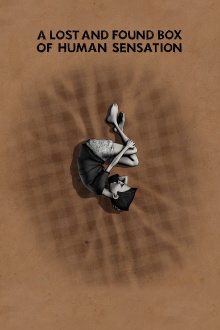 A Lost and Found Box of Human Sensation Trailer
