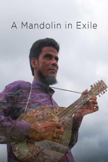 A Mandolin in Exile Trailer