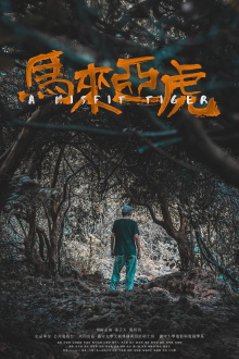 A Misfit Tiger Trailer