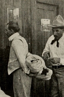 A Montana Mix-Up Trailer