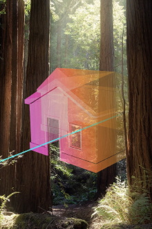 A New Nature Trailer