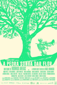 A Pedra Sonha Dar Flor Trailer
