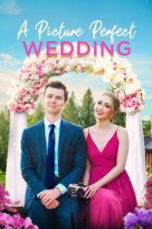 A Picture Perfect Wedding Trailer