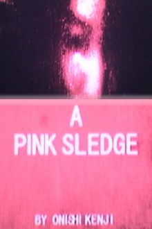A Pink Sledge Trailer