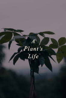 A Plant's Life Trailer