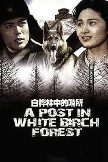 A Post in White Birch Forest Trailer