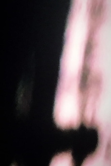 a pray Trailer