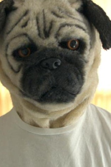 A Pug & Wolf Christmas Trailer