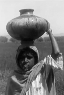 A Punjab Village Trailer