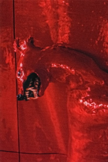 A Red Score in Tile Trailer