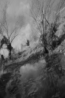 A Riverscape Trailer