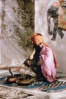 A Road in India Trailer