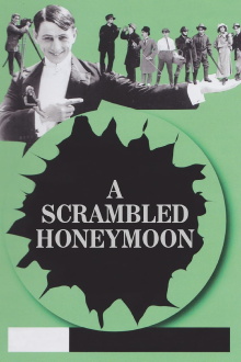 A Scrambled Honeymoon Trailer