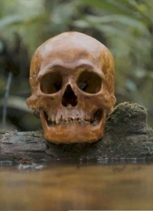 A Skull Trailer