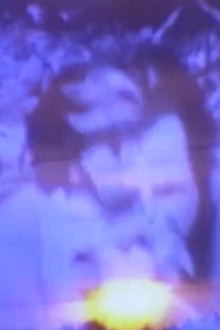 A Small Film for Stan Brakhage and Larry Jordan Trailer