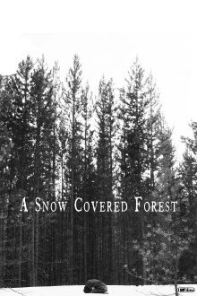A Snow Covered Forest Trailer