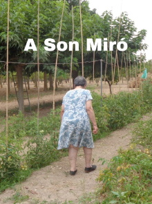 A Son Miró Trailer