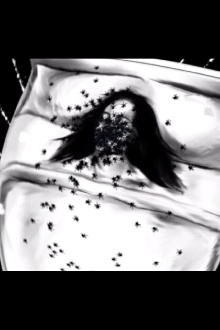 A Spider Dream Trailer