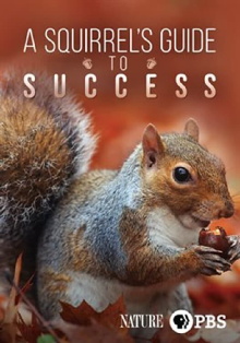 A Squirrel's Guide to Success Trailer