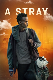 A Stray Trailer
