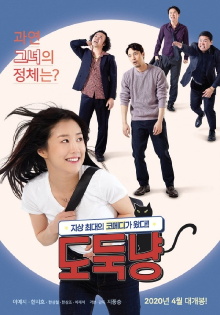 A Stray Cat Trailer