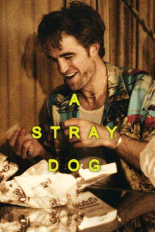 A Stray Dog Trailer