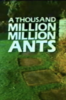 A Thousand Million Million Ants Trailer