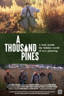 A Thousand Pines Trailer