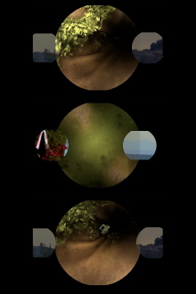 A Very Long Gif Trailer