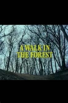 A Walk in the Forest Trailer