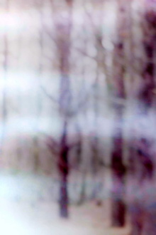 A Walk in the Woods Trailer