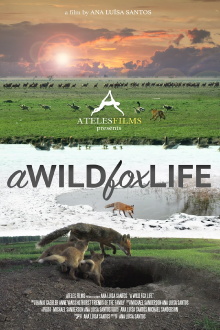 A Wild Fox Life Trailer