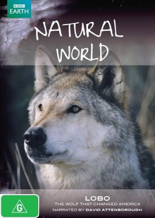 A Wolf Called Storm Trailer