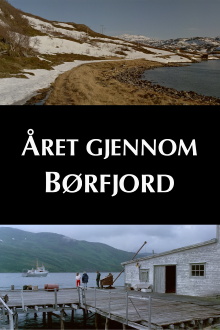 A Year Along the Abandoned Road Trailer