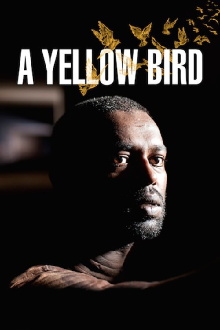 A Yellow Bird Trailer