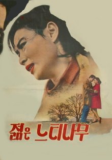 A Young Zelkova Trailer