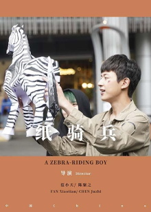 A Zebra-Riding Boy Trailer