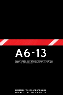 A6-13 Trailer