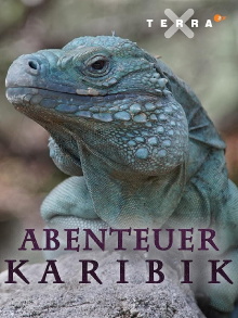 Abenteuer Karibik Trailer